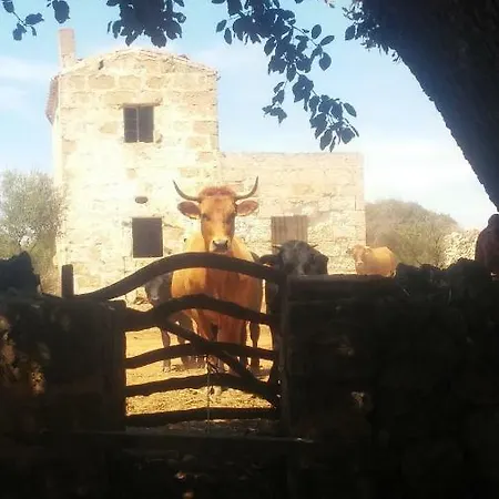Séjour à la ferme Sant Tomas *